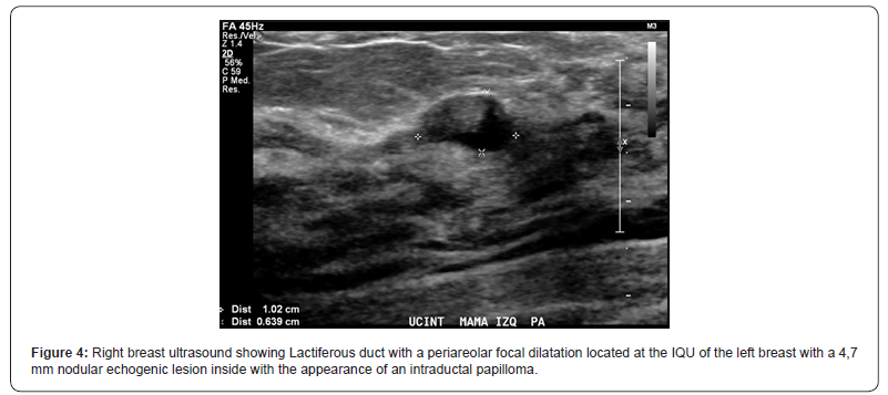 Click here to view Large Figure 4