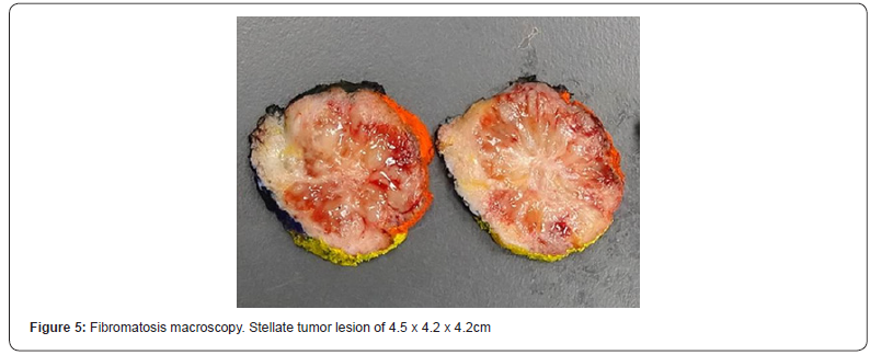 Click here to view Large Figure 5
