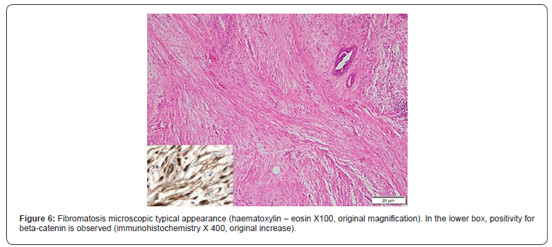 Click here to view Large Figure 6