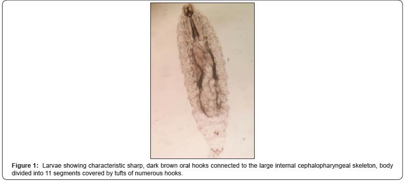 Click here to view Large Figure 1