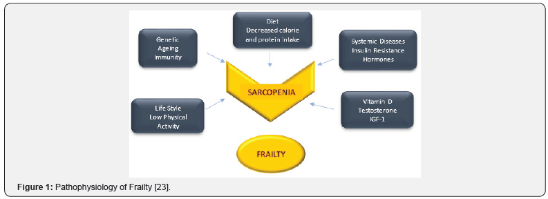 Click here to view Large Figure 1
