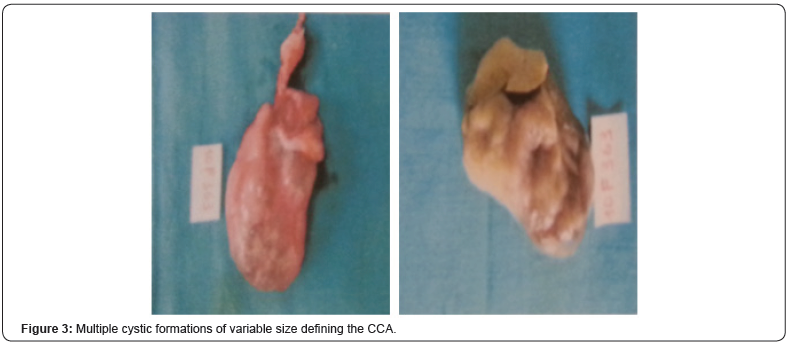 Click here to view Large Figure 3