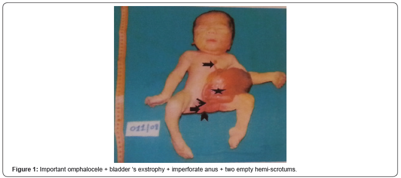 Click here to view Large Figure 1