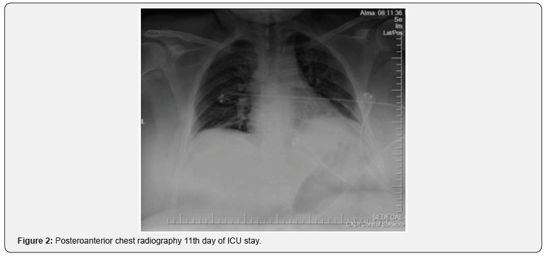 Click here to view Large Figure 2