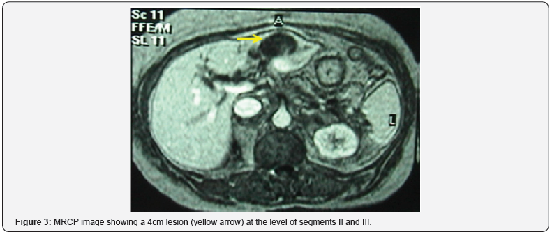 Click here to view Large Figure 3