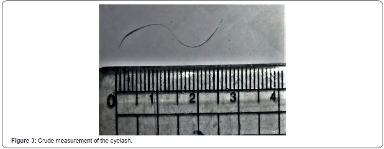 Click here to view Large Figure 3