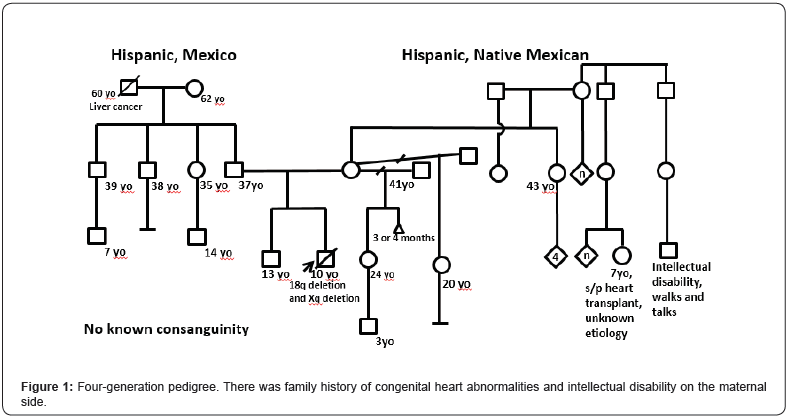Click here to view Large Figure 1