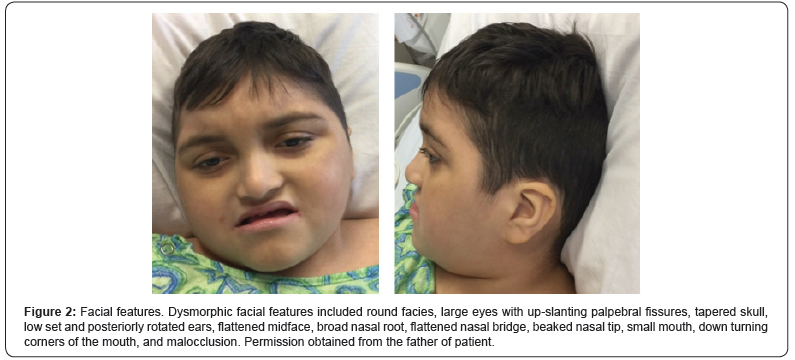 Click here to view Large Figure 2