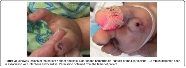 Click here to view Large Figure 3