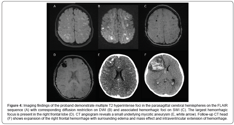 Click here to view Large Figure 4