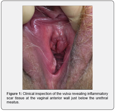 Click here to view Large Figure 1