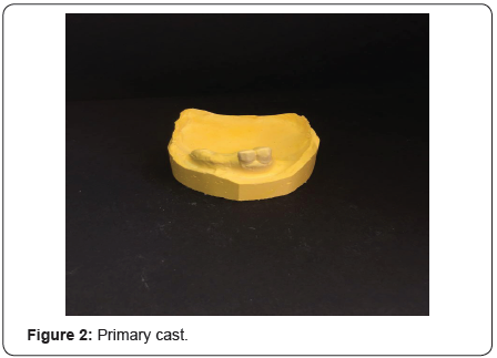 Click here to view Large Figure 2