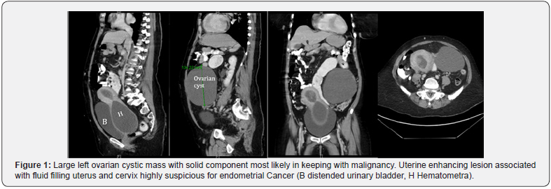 Click here to view Large Figure 1