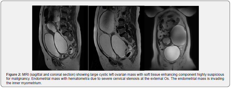 Click here to view Large Figure 2