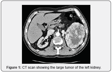 Click here to view Large Figure 1
