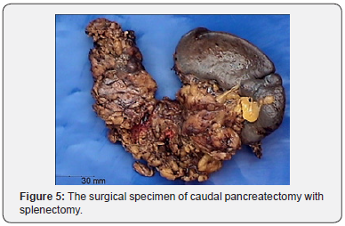 Click here to view Large Figure 5