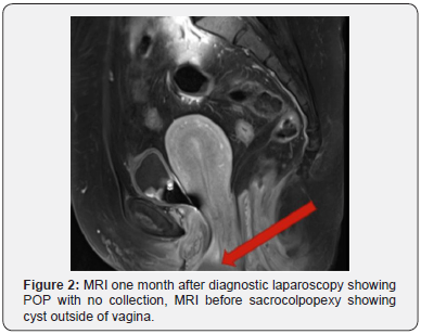 Click here to view Large Figure 2