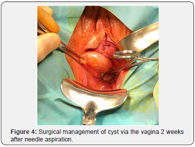 Click here to view Large Figure 4