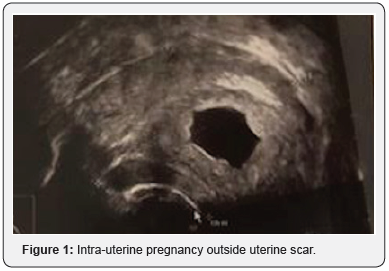 Click here to view Large Figure 1