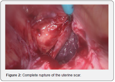 Click here to view Large Figure 2