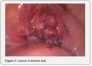 Click here to view Large Figure 3