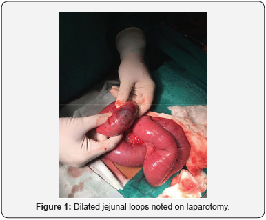 Click here to view Large Figure 1