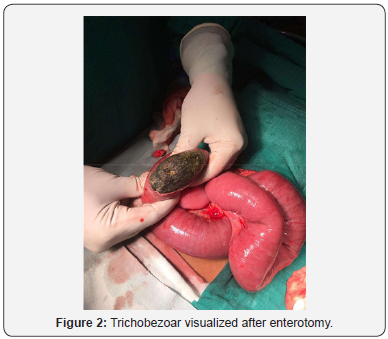 Click here to view Large Figure 2