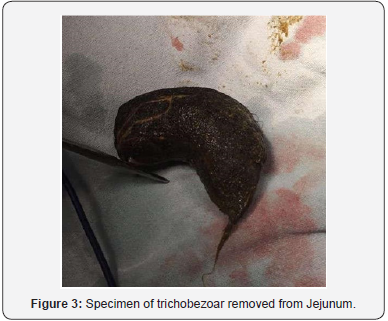 Click here to view Large Figure 3