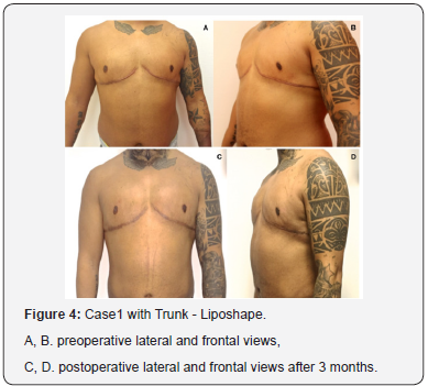 Click here to view Large Figure 4