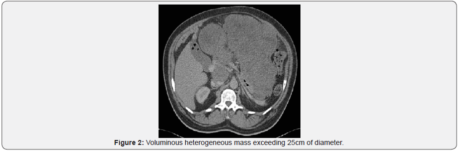 Click here to view Large Figure 2