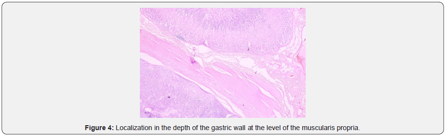 Click here to view Large Figure 4