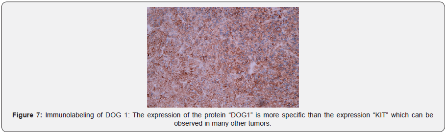 Click here to view Large Figure 7