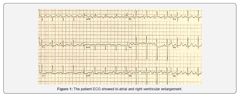 Click here to view Large Figure 1 Juniper Online Journal of Case Studies