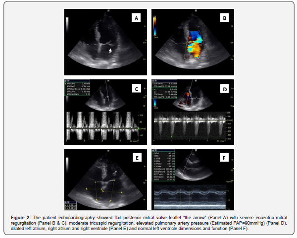 Click here to view Large Figure 2 Juniper Online Journal of Case Studies
