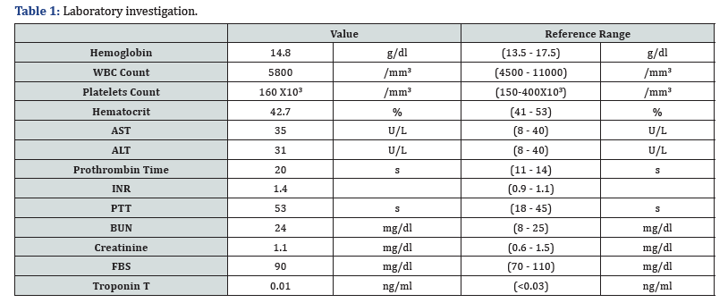 Click here to view Large Table 1 Juniper Online Journal of Case Studies