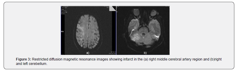 Click here to view Large Figure 3 Juniper Online Journal of Case Studies