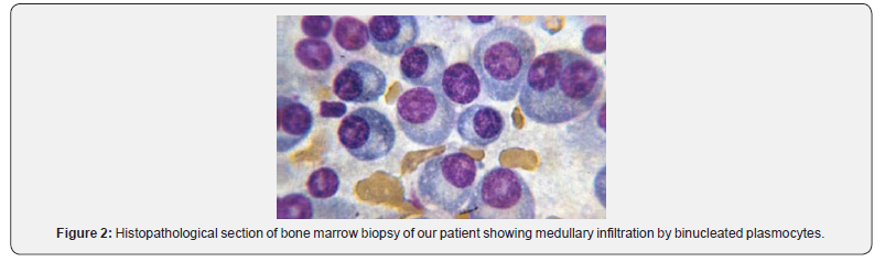 Click here to view Large Figure 2 Juniper Online Journal of Case Studies