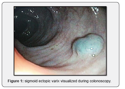 Click here to view Large Figure 1 Juniper Online Journal of Case Studies