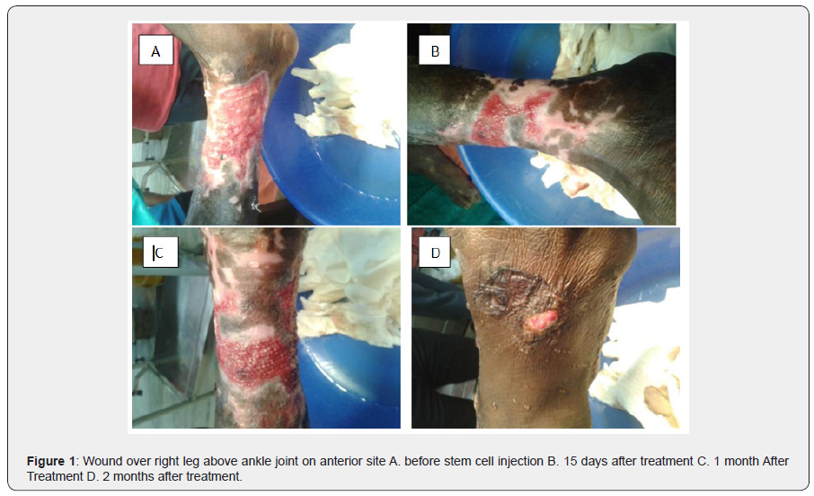 Click here to view Large Figure 1 Juniper Online Journal of Case Studies