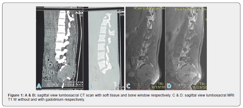 Click here to view Large Figure 1
