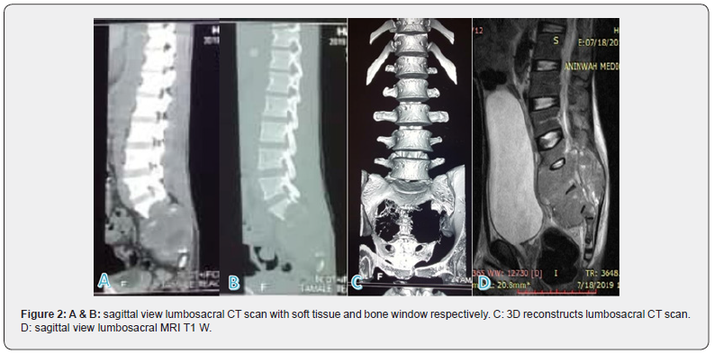 Click here to view Large Figure 2