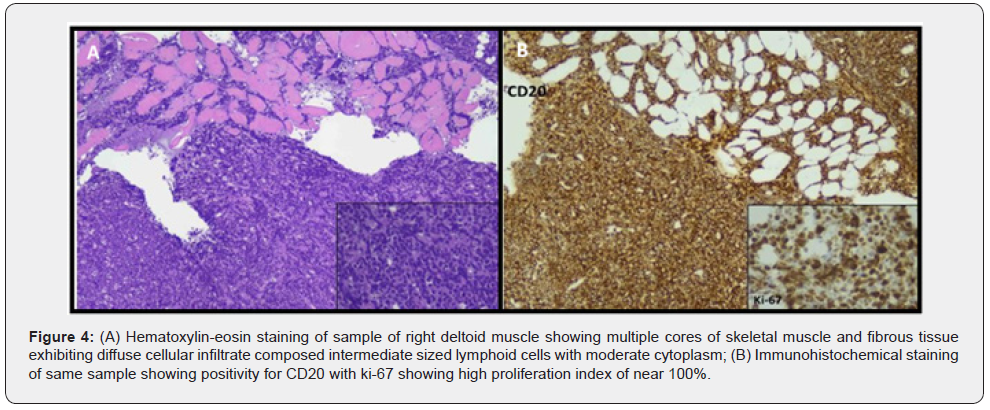 Click here to view Large Figure 4
