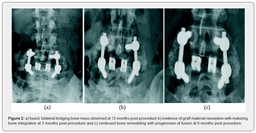 Click here to view Large Figure 2