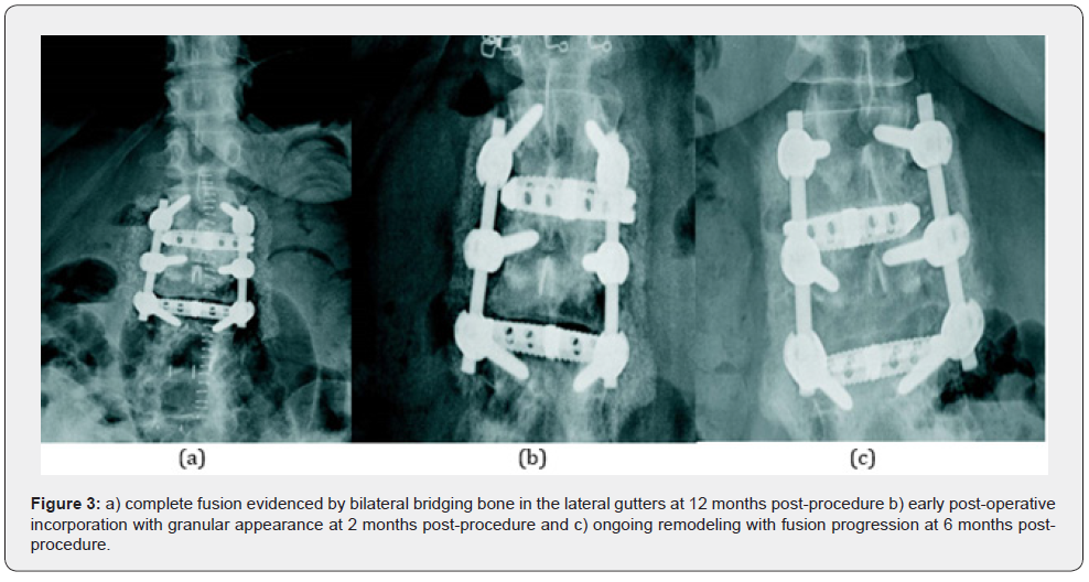 Click here to view Large Figure 3