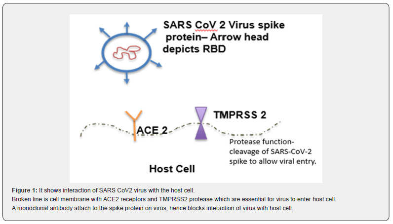 Click here to view Large Figure 1