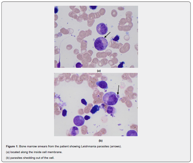 Click here to view Large Figure