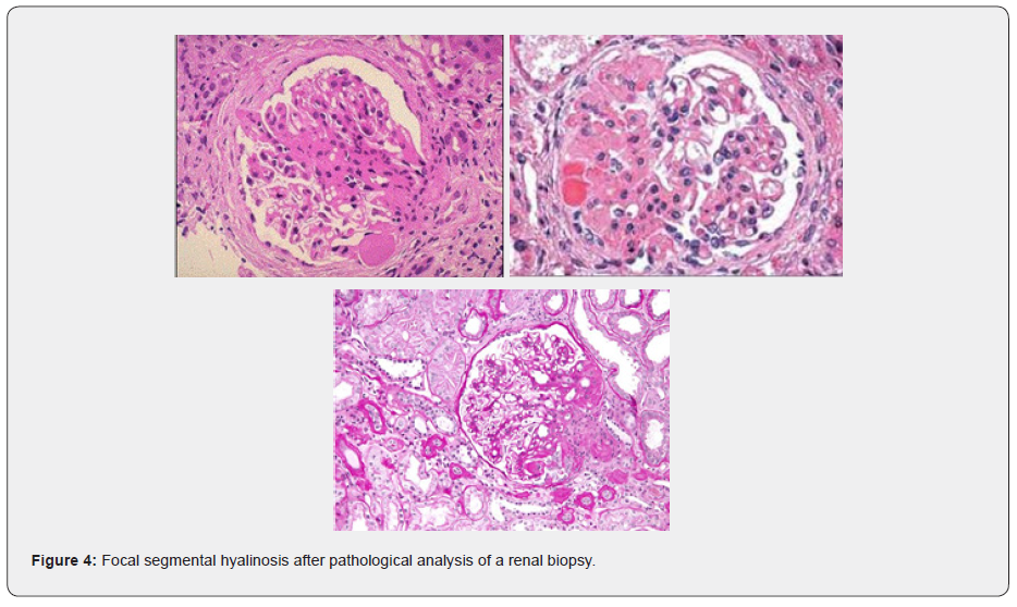 Click here to view Large Figure