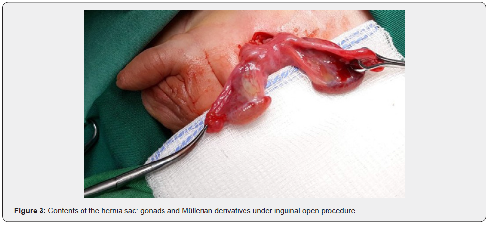 Click here to view Large Figure