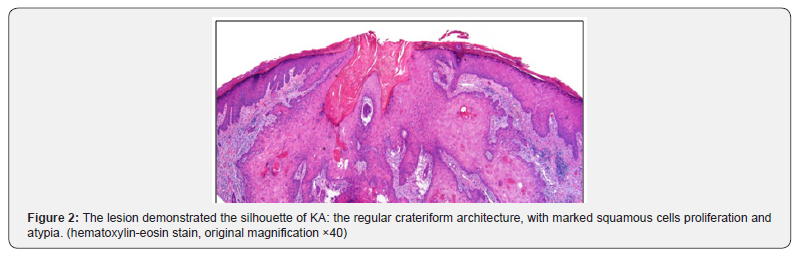 Click here to view Large Figure 2