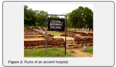 Click here to view Large Figure 2